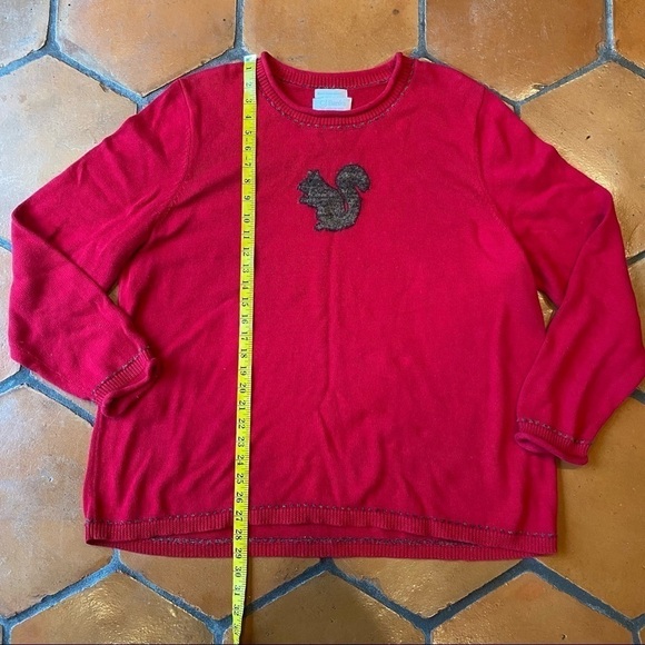 Christopher Banks CJ Hand Embroidered Squirrel Holiday Sweater Soft Size 2X - Picture 6 of 9